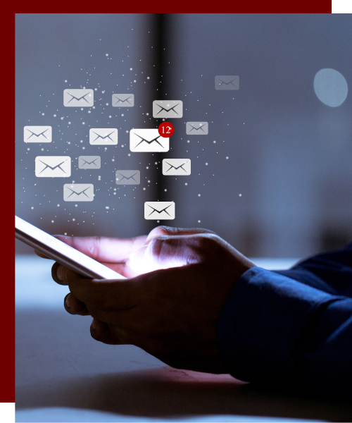 Send out successful email marketing campaigns with Go Mighty Oak's Expert Guidance